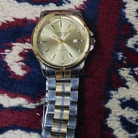 Sagat Casio