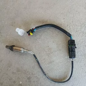 Katalizator datcik