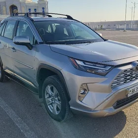 Toyota RAV4 2025