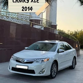 Toyota Camry 2014