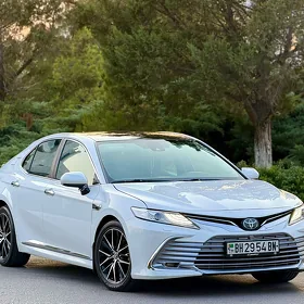 Toyota Camry 2019