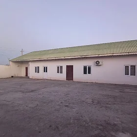 Boş Seh