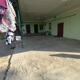 🌏SATLYK PLAN JAÝ 9 KOMMISSAT