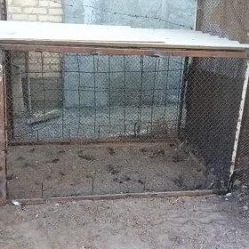 Кетек