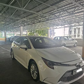 Toyota Corolla 2021