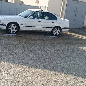 bmw diska 95