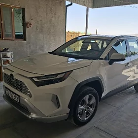 Toyota RAV4 2022