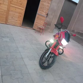 Fekon FK150-8G 2024