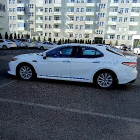 Toyota Camry 2019