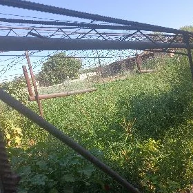 сатлык типлица