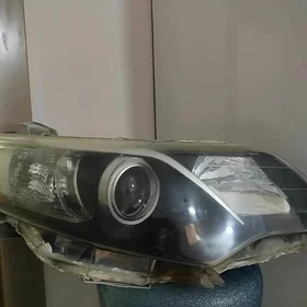 Palta cemry se klass