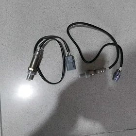 katalizator datciklar toyota.m