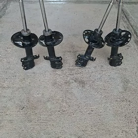 Corollo amantzator.