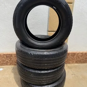 Pokryshka michelin