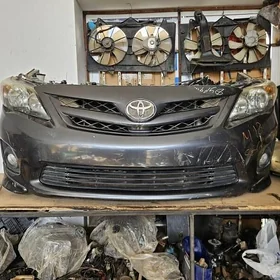 COROLLA KELTE MORDA