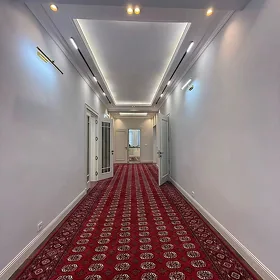 Anew Ahal koce Katež