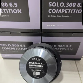 Pride300 cop