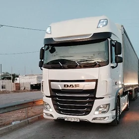 DAF 480 2019