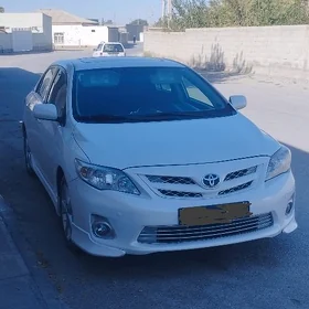 waditel corolla