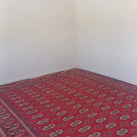 kone gurtly günlik kwartira ba