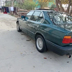 E34 sokulip satylya