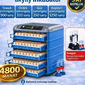 inkubator