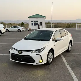 Toyota Corolla 2021