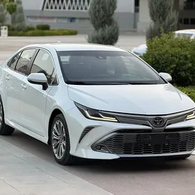 Toyota Corolla 2021