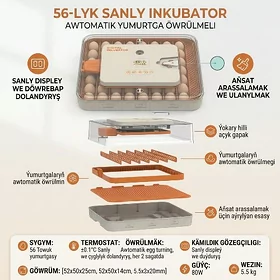 incubator инкубатор inkubator