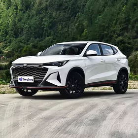 Changan yag filtr
