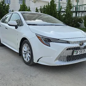 Toyota Corolla 2021