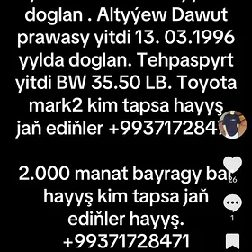 Prawa tehpaspyrt ýitdi