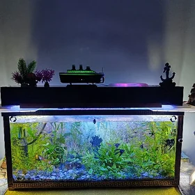 Живые водные растения