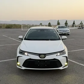 Toyota Corolla 2021