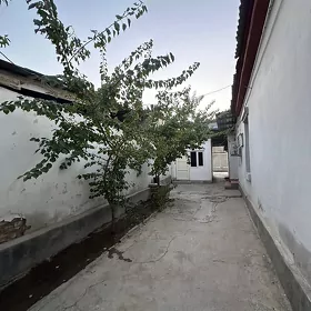 AK-ALTYN PLAN JAY 3 SOTOK