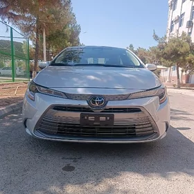Toyota Corolla 2024