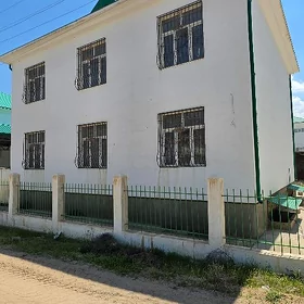 Anew satlyk gos kotej