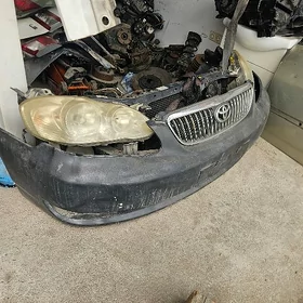01 07 USA COROLLA KELTE MORDA