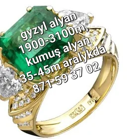 gyzyl alyan