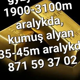 gyzyl kumuş alyan