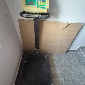 весы