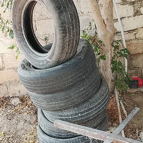 pakryşka