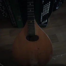 баян