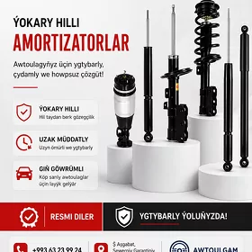 CAMRY 2021 Amortezator