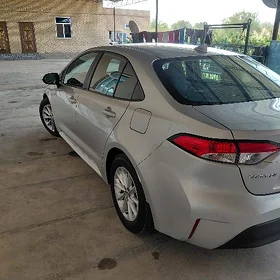 Toyota Corolla 2023