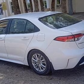 Toyota Corolla 2020