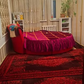 buzmeyin kruk arkacka