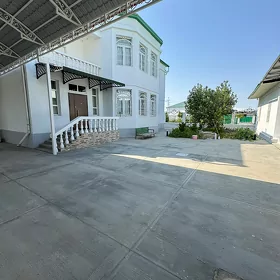 Kotez Ahal koce
