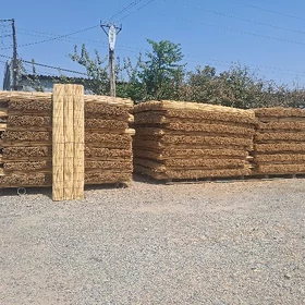 gamyş