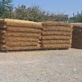 Gamyş gamyş AK ÖŸ